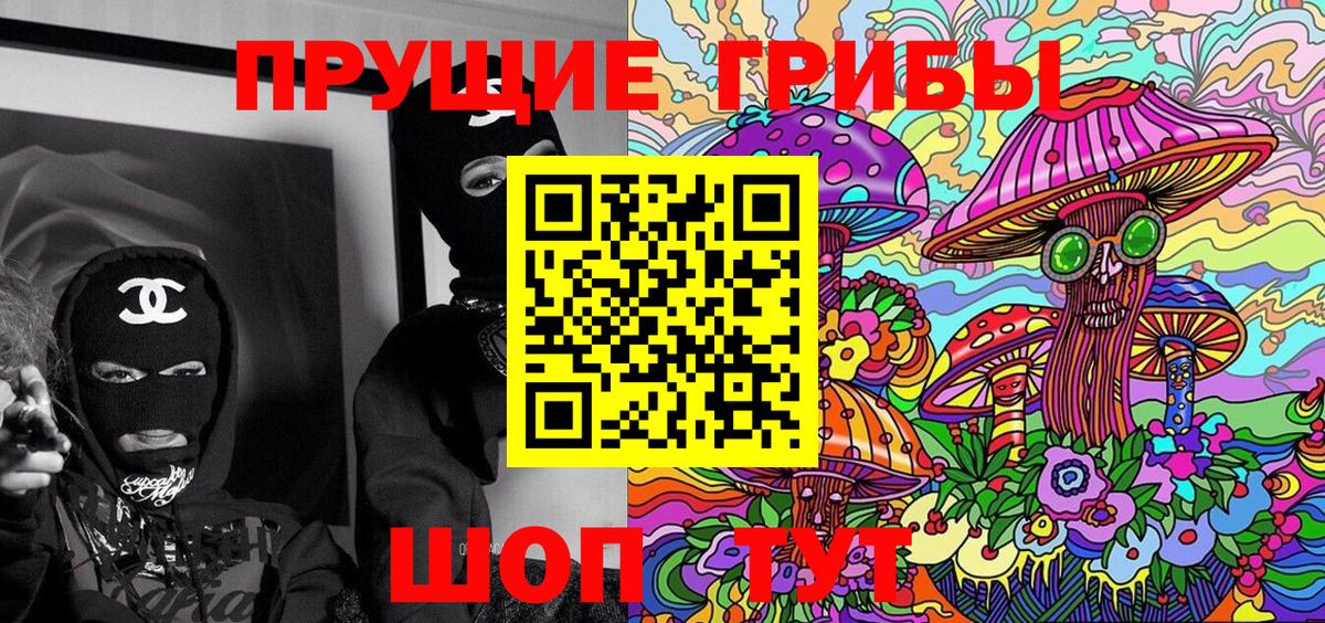 Галлюциногенные грибы Psilocybine cubensis Калуга