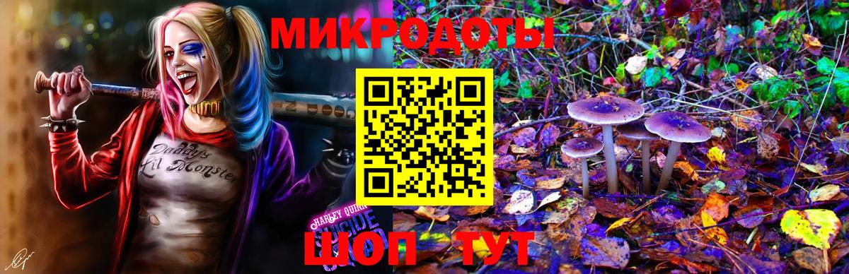 Псилоцибиновые грибы Psilocybine cubensis  Псилоцибиновые грибы ЛСД  Вход с VPN  Калуга 